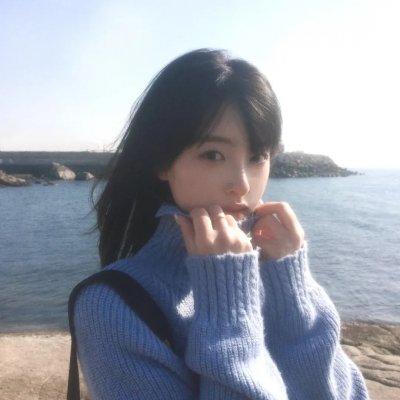 美国豚鼠
