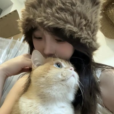 高速路上一只猫